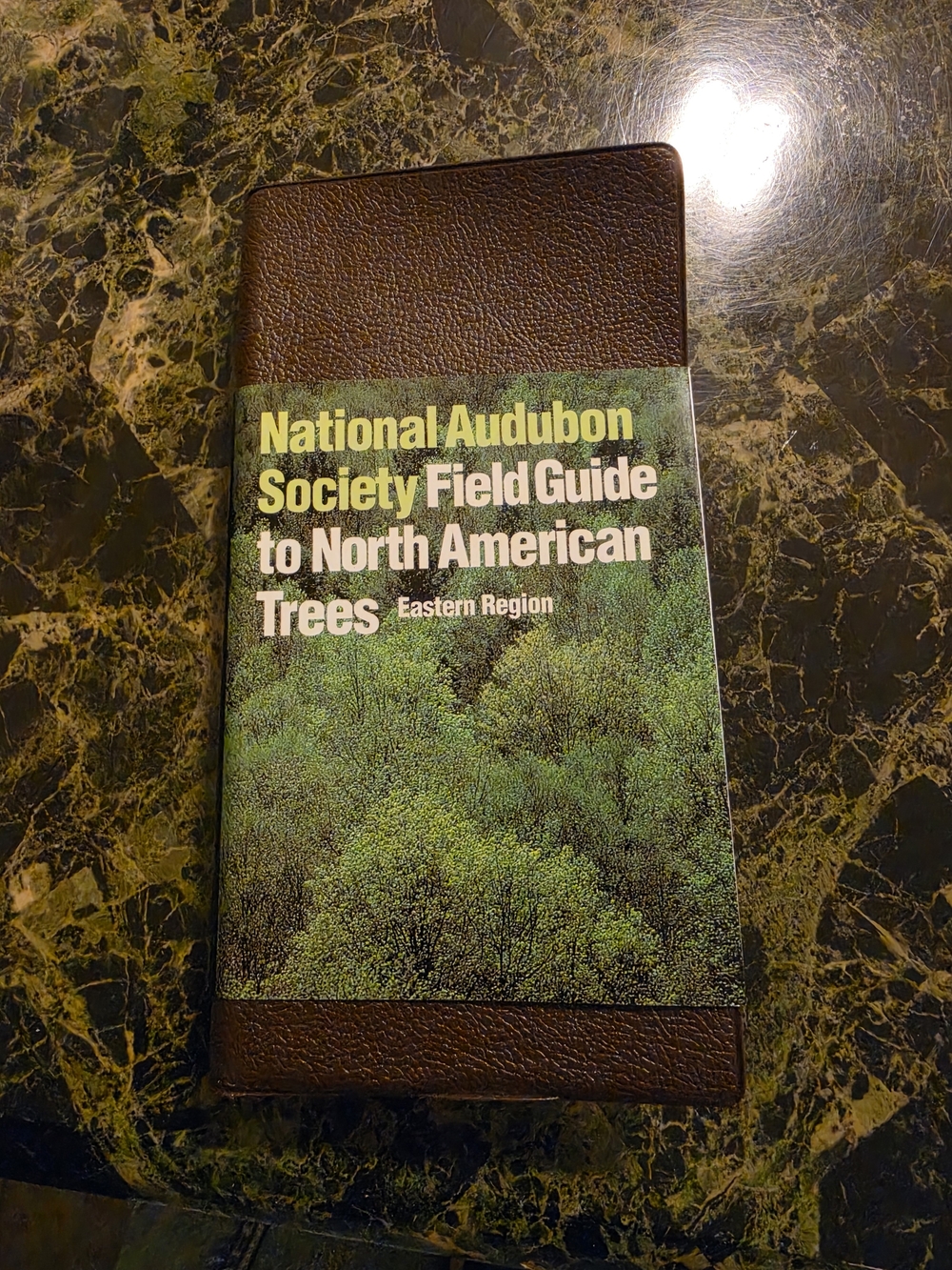 Field Guide To North Amercan Trees-national Audubon Society Book